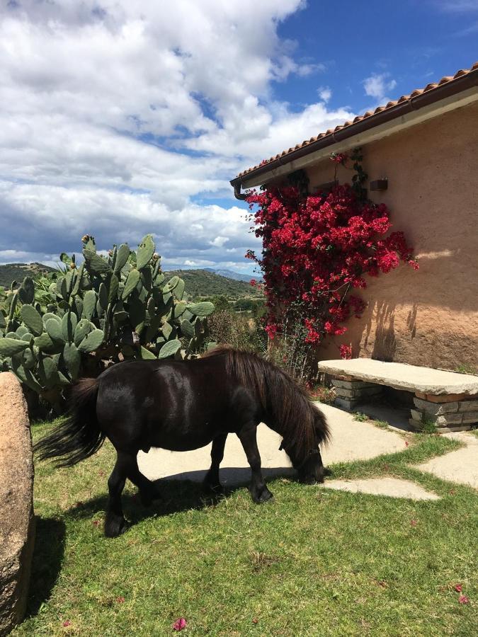 Hotel Borgo Di Campagna Porto San Paolo  Zewnętrze zdjęcie