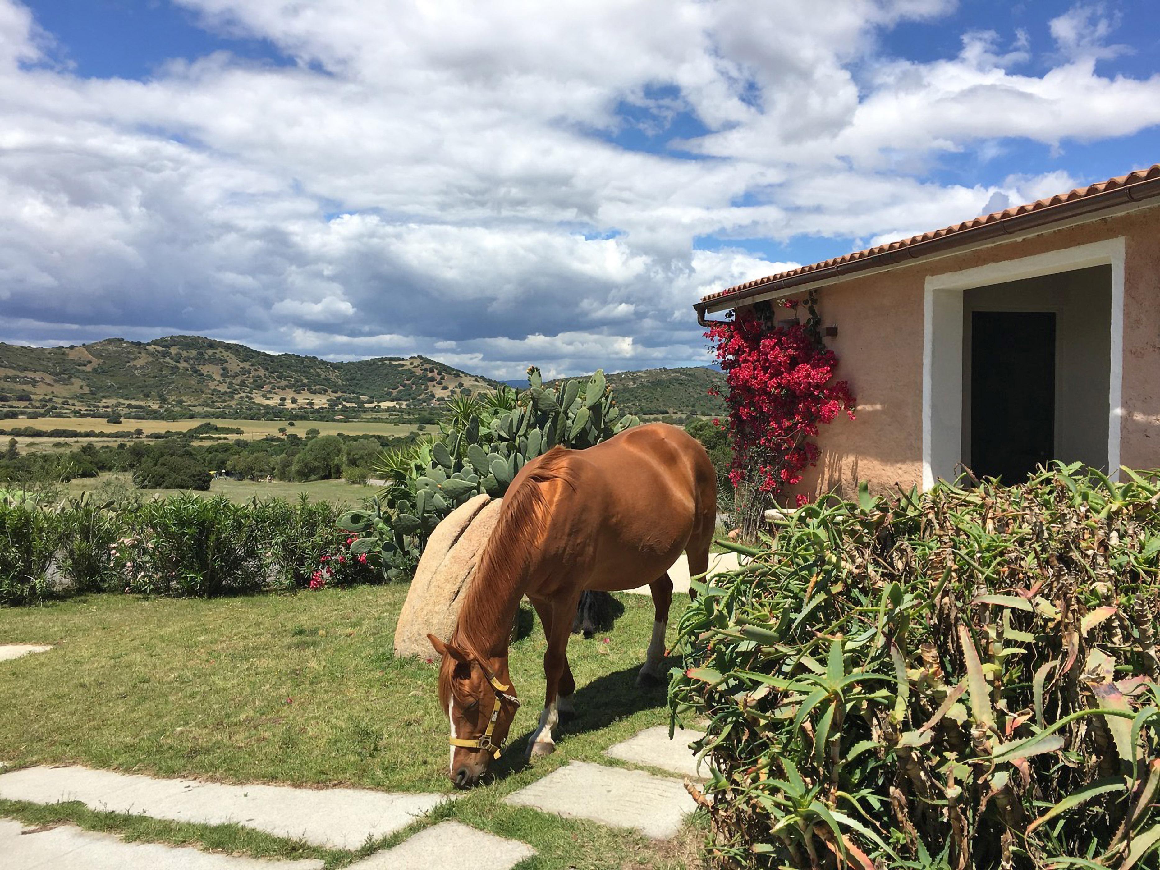 Hotel Borgo Di Campagna Porto San Paolo  Zewnętrze zdjęcie